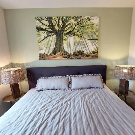 Apartment Penthouse Wohlfuehlort Mit Dachterrasse Bad Harzburg